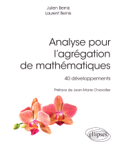 E-book, Analyse pour l'agrégation de mathématiques : 40 développements, Édition Marketing Ellipses