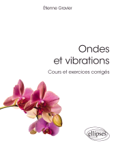 E-book, Ondes et vibrations : Cours et exercices corrigés, Édition Marketing Ellipses