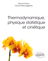 E-book, Thermodynamique, physique statistique et cinétique, Édition Marketing Ellipses