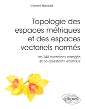 E-book, Topologie des espaces métriques et des espaces vectoriels normés en 148 exercices corrigés et 55 questions vrai/faux, Édition Marketing Ellipses