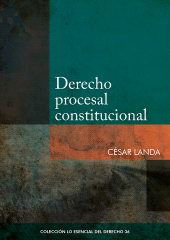 E-book, Derecho procesal constitucional, Fondo Editorial de la PUCP