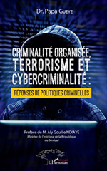 E-book, Criminalité organisée, terrorisme et cybercriminalité