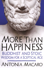 E-book, More Than Happiness : Buddhist and Stoic Wisdom for a Sceptical Age, Icon Books