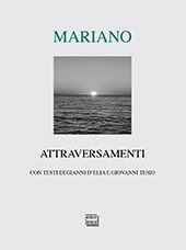 E-book, Attraversamenti : poesie 2011-2017, Interlinea