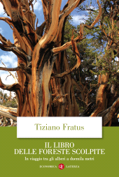 E-book, Il libro delle foreste scolpite, Editori Laterza