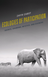 E-book, Ecologies of Participation : Agents, Shamans, Mystics, and Diviners, Lexington Books
