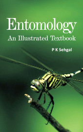 E-book, Entomology: An Illustrated Textbook, New India Publishing Agency