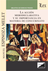 E-book, Acción merodeclarativa y su importancia en, Ediciones Olejnik