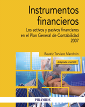 E-book, Instrumentos financieros : Los activos y pasivos financieros en el Plan General de Contabilidad 2007 (adaptado a las NIIF), Ediciones Pirámide