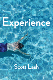 E-book, Experience : New Foundations for the Human Sciences, Polity Press