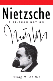 eBook, Nietzsche : A Re-examination, Polity Press