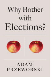 eBook, Why Bother With Elections?, Polity Press