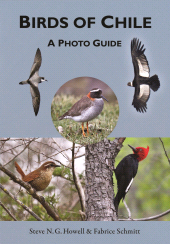E-book, Birds of Chile : A Photo Guide, Princeton University Press