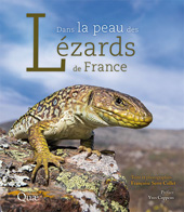 E-book, Dans la peau des lézards de France, Éditions Quae