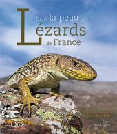 eBook, Dans la peau des lézards de France, Éditions Quae