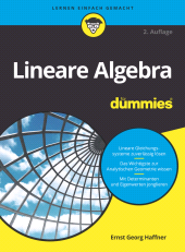 E-book, Lineare Algebra für Dummies, Wiley-VCH