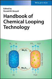 eBook, Handbook of Chemical Looping Technology, Wiley-VCH