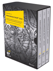 E-book, International GAAP 2019, John Wiley & Sons