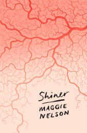 E-book, Shiner, Zed Books
