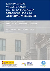 E-book, Las viviendas vacacionales : entre la economía colaborativa y la actividad mercantil, Dykinson