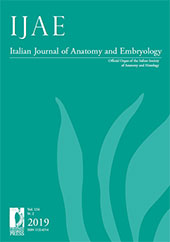 Fascicolo, IJAE : Italian Journal of Anatomy and Embryology : 124, 2, 2019, Firenze University Press