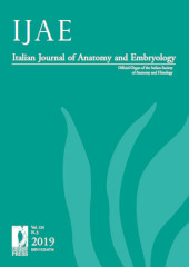 Heft, IJAE : Italian Journal of Anatomy and Embryology : 124, 3, 2019, Firenze University Press