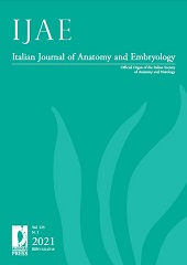 Fascículo, IJAE : Italian Journal of Anatomy and Embryology : 125, 1, 2021, Firenze University Press