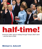 eBook, Half-Time! : American public opinion midway through Trump's (first?) term - and the race to 2020, Biteback Publishing