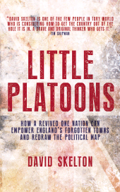 eBook, Little Platoons : How a revived One Nation can empower England's forgotten towns and redraw the political map, Biteback Publishing