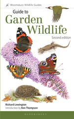 eBook, Guide to Garden Wildlife (2nd edition), Lewington, Richard, Bloomsbury Publishing