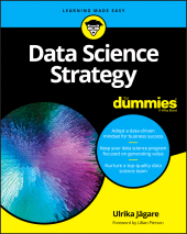 E-book, Data Science Strategy For Dummies, For Dummies