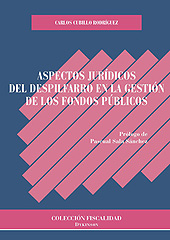 E-book, Aspectos jurídicos del despilfarro en la gestión de los fondos públicos, Cubillo Rodríguez, Carlos, Dykinson