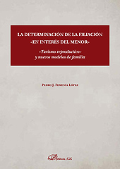 E-book, La determinación de la filiación en interés del menor : turismo reproductivo y nuevos modelos de familia, Dykinson
