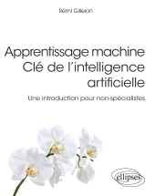 E-book, Apprentissage machine : Clé de l'intelligence artificielle : Une introduction pour non-spécialistes, Édition Marketing Ellipses