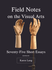 E-book, Field Notes on the Visual Arts : Seventy-Five Short Essays, Intellect
