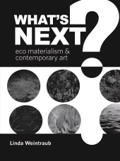E-book, What's Next? : Eco Materialism and Contemporary Art, Intellect