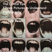 E-book, The Critical Eye : Fifteen Pictures to Understand Photography, Intellect