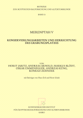 E-book, Merenptah V : Konservierungsarbeiten und Herrichtung des Grabungsplatzes, ISD