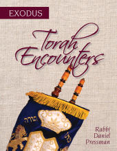 E-book, Torah Encounters : Exodus, United Synagogue Of Conservative Judaism