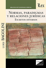 E-book, Normas, paradigmas y relaciones jurídicas, Ediciones Olejnik