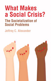 E-book, What Makes a Social Crisis? : The Societalization of Social Problems, Polity Press