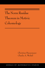E-book, The Norm Residue Theorem in Motivic Cohomology : (AMS-200), Haesemeyer, Christian, Princeton University Press