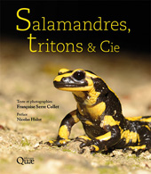 E-book, Salamandres, tritons & cie, Serre Collet, Françoise, Éditions Quae