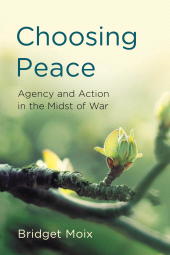 E-book, Choosing Peace : Agency and Action in the Midst of War, Rowman & Littlefield Publishers