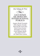 E-book, Lecciones de Derecho Internacional Público : Segunda edición, Tecnos