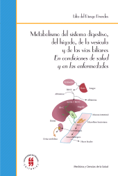 E-book, Metabolismo del sistema digestivo, del hígado, de la vesícula y de las vías biliares : En condiciones de salud y en las enfermedades, Editorial Universidad del Rosario