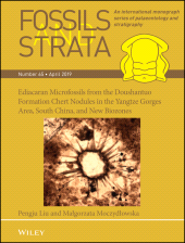 eBook, Ediacaran Microfossils from the Doushantuo Formation Chert Nodules in the Yangtze Gorges Area, South China, and New Biozones, Wiley