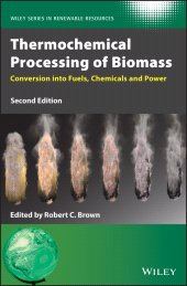 eBook, Thermochemical Processing of Biomass : Conversion into Fuels, Chemicals and Power, John Wiley & Sons