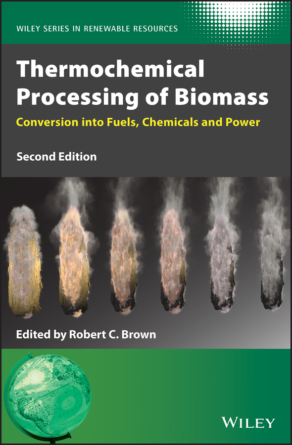 eBook, Thermochemical Processing of Biomass : Conversion into Fuels, Chemicals and Power, John Wiley & Sons
