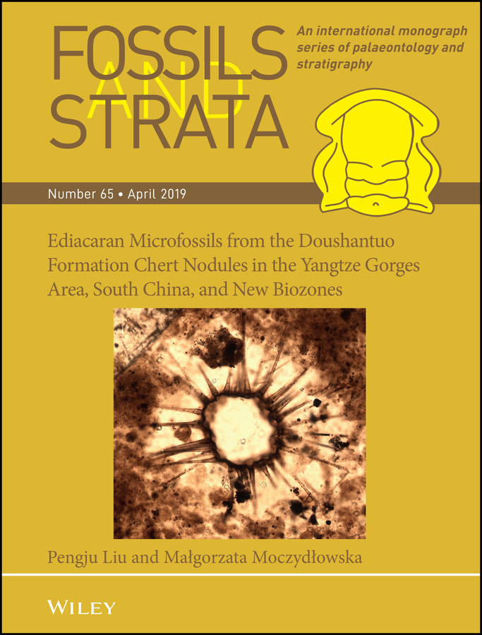 E-book, Ediacaran Microfossils from the Doushantuo Formation Chert Nodules in the Yangtze Gorges Area, South China, and New Biozones, John Wiley & Sons